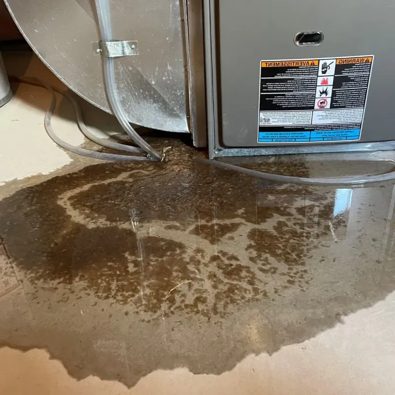 Pipe Burst and Leak Restoration in Crothersville, IN