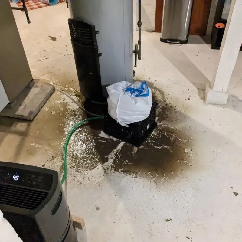 Sewage Backup Cleanup Service in Crothersville, IN